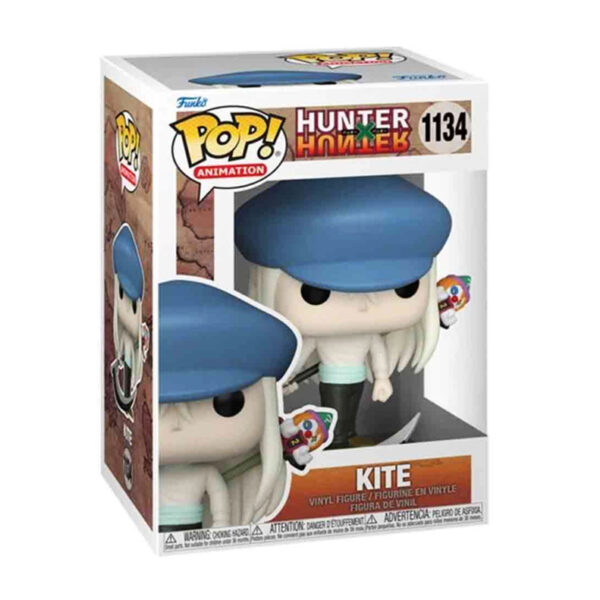 Kite1